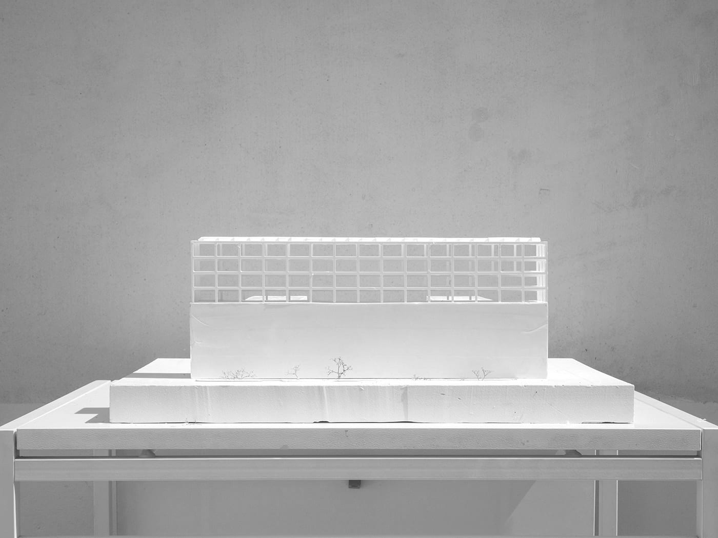 bâtiment lelong