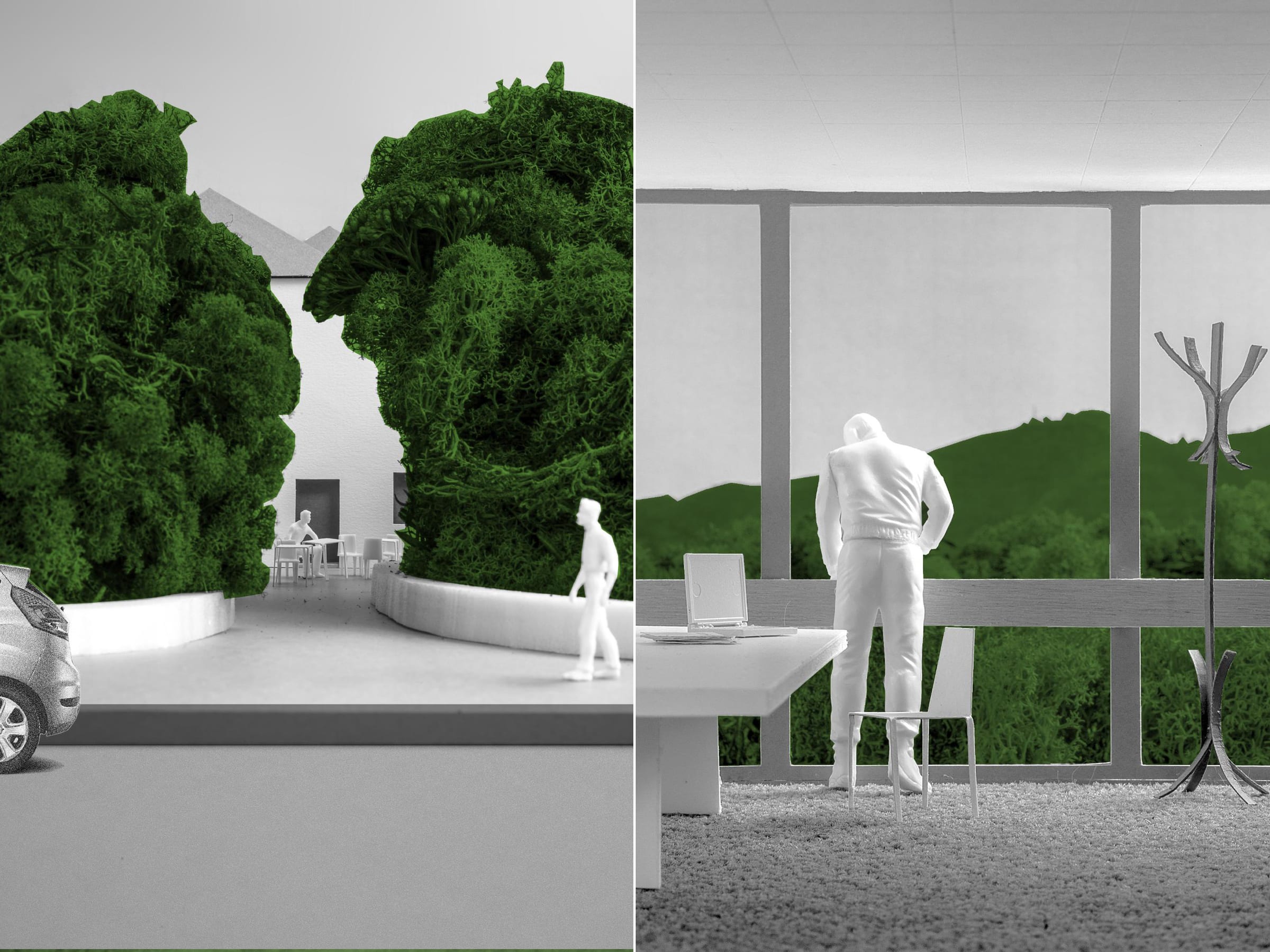 tirana park entrance